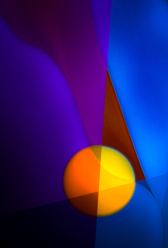 Playful von Marek Boguszak, Fotografie kaufen auf Singulart