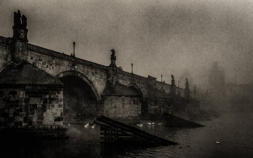 Ancient Witness di Marek Boguszak, Fotografia in vendita su Singulart