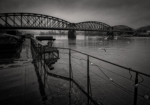 Echoes on the River van Marek Boguszak, Fotografie te koop op Singulart