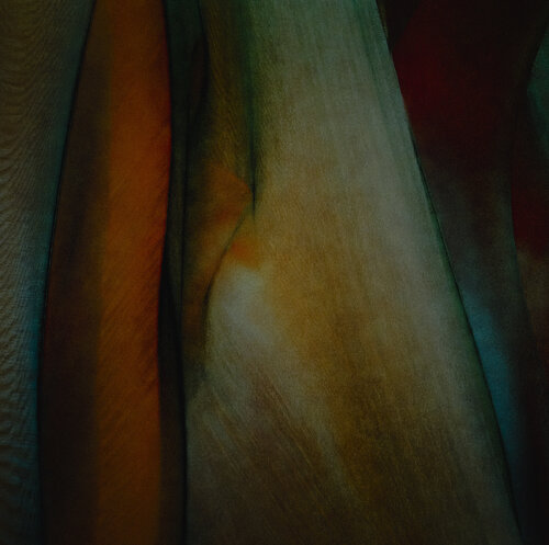 Deep Focus di Marek Boguszak, Fotografia in vendita su Singulart