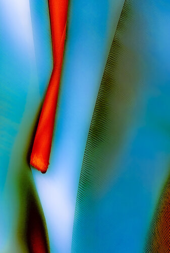 Juxtaposition van Marek Boguszak, Fotografie te koop op Singulart