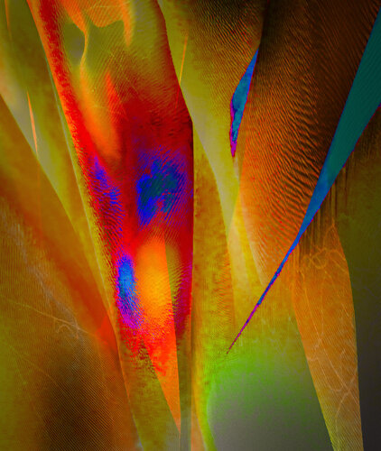 Celebration van Marek Boguszak, Fotografie te koop op Singulart