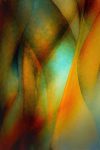 Layers of Joy van Marek Boguszak, Fotografie te koop op Singulart