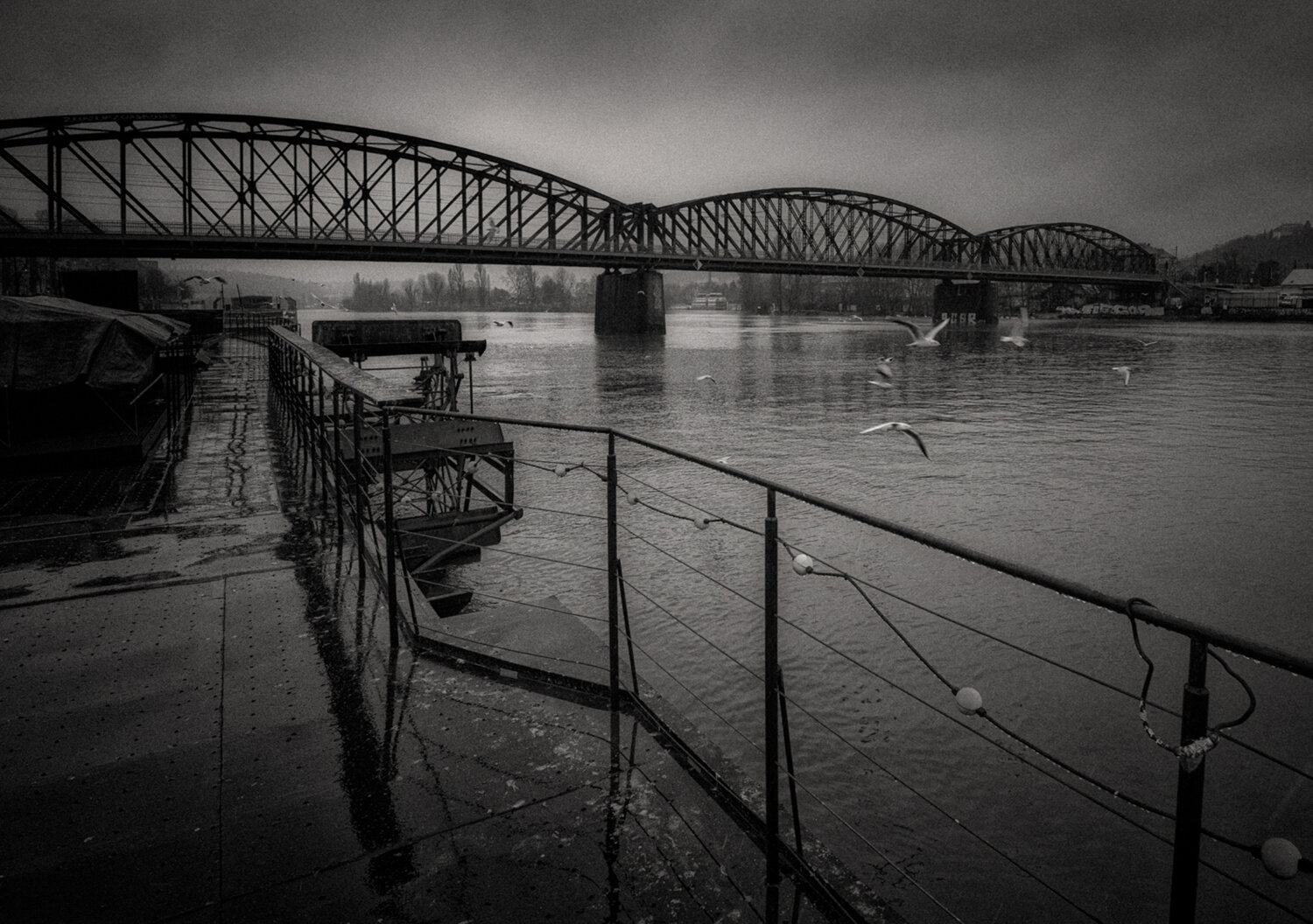 Echoes on the River Marek Boguszak