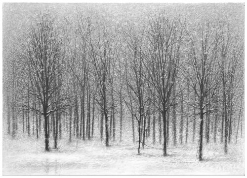 untitled di Danja Akulin, Opera su carta in vendita su Singulart