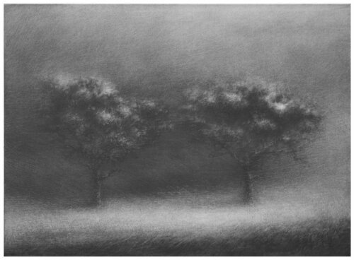 untitled Danja Akulin