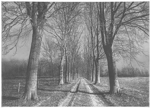 untitled di Danja Akulin, Opera su carta in vendita su Singulart