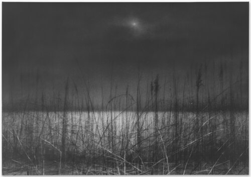 untitled van Danja Akulin, Tekening te koop op Singulart