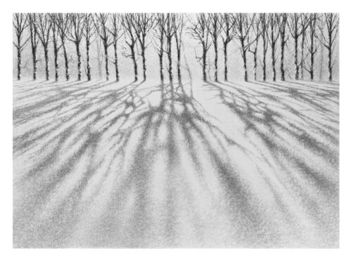 untitled von Danja Akulin, Druck kaufen auf Singulart