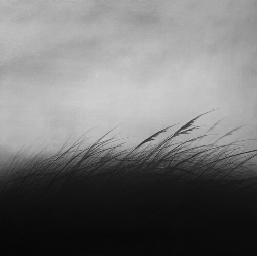 untitled van Danja Akulin, Tekening te koop op Singulart