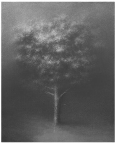 untitled von Danja Akulin, Zeichnungen kaufen auf Singulart