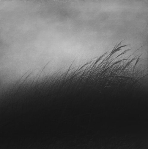 untitled Danja Akulin