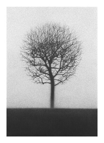 untitled von Danja Akulin, Druck kaufen auf Singulart