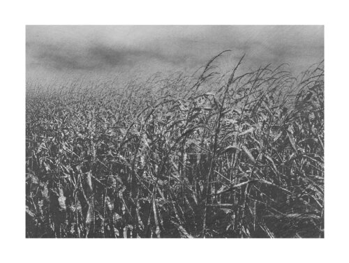 untitled par Danja Akulin, Édition en vente sur Singulart