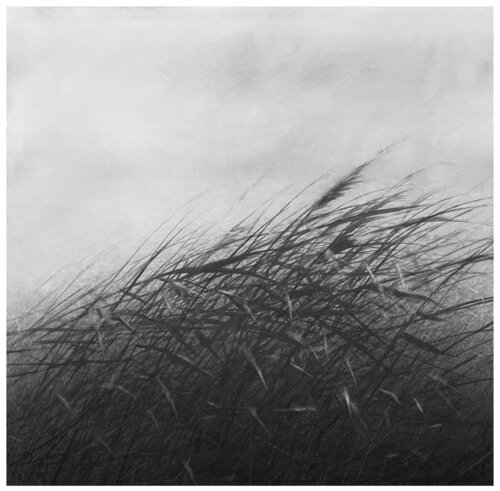 untitled by Danja Akulin, デッサン for Sale on Singulart