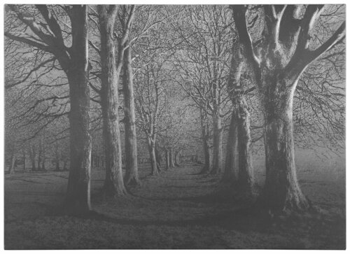 untitled by Danja Akulin, 紙の作品 for Sale on Singulart