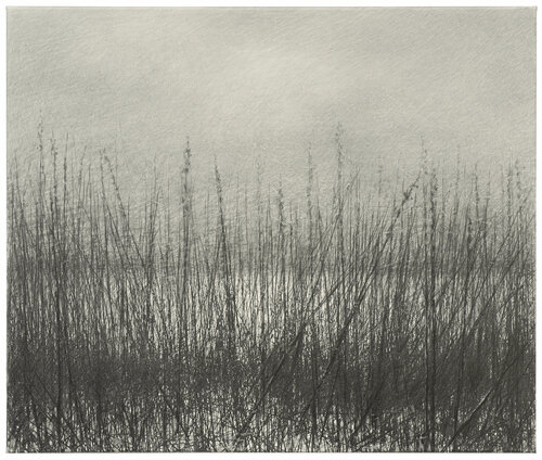untitled Danja Akulin
