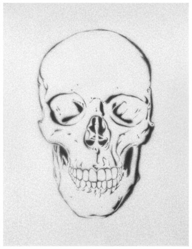 Skull de Danja Akulin, Dibujo a la venta en Singulart