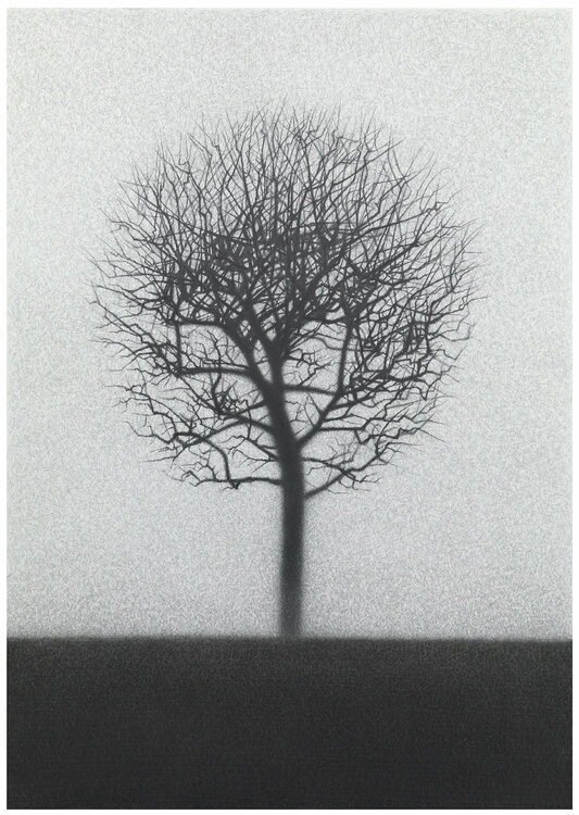 "Tree" Danja Akulin