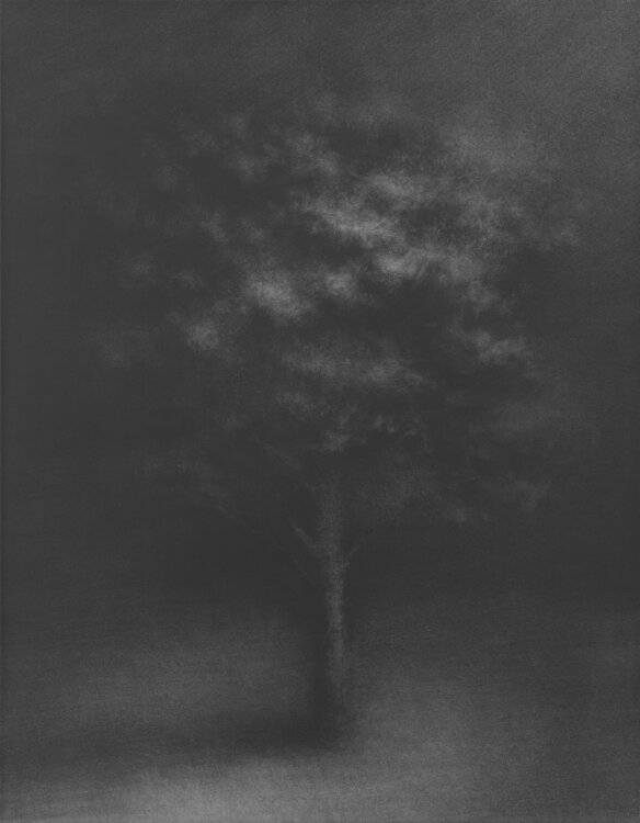 untitled Danja Akulin