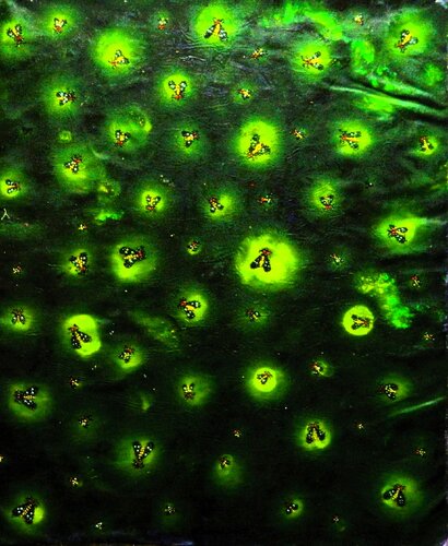 Fire Flies van Kenan K., Schilderij te koop op Singulart