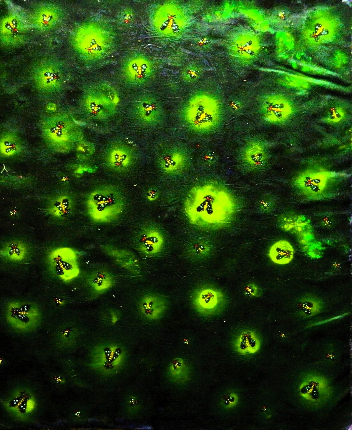Fire Flies Kenan K.