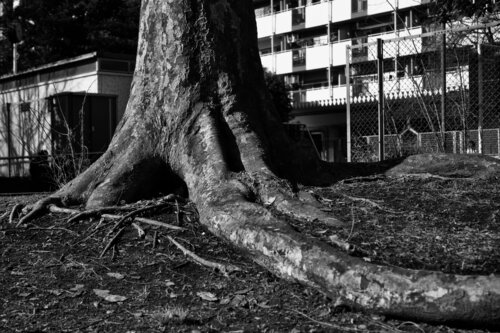 The Power of the Earth by The “U ”zing/Takeshi Nakata, Photography for Sale on Singulart