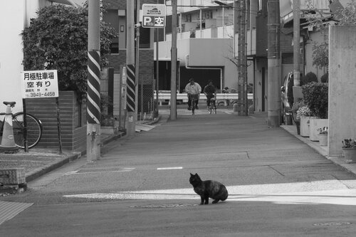 The Road di The “U ”zing/Takeshi Nakata, Fotografia in vendita su Singulart