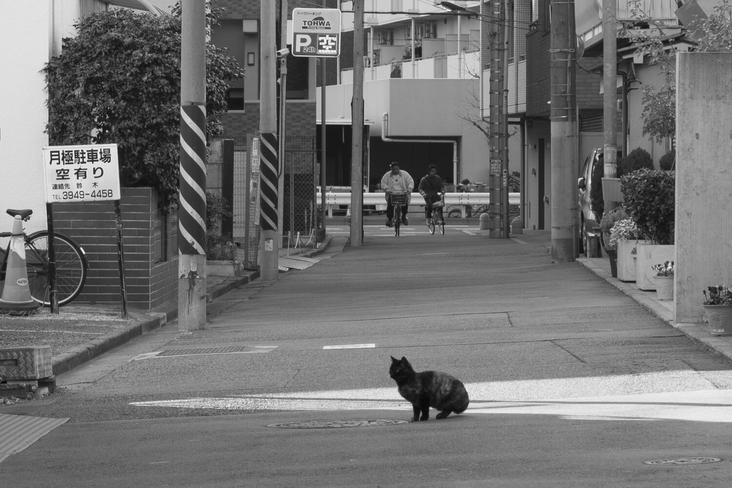 The Road The “U ”zing/Takeshi Nakata Fotografia in vendita
