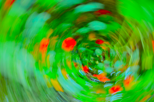 Zentrifugalkraft von Amadeus Pichler, Fotografie kaufen auf Singulart