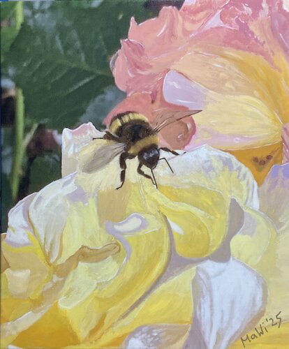 Biene in Blumen by Marta Widowitz, 油畫 for Sale on Singulart