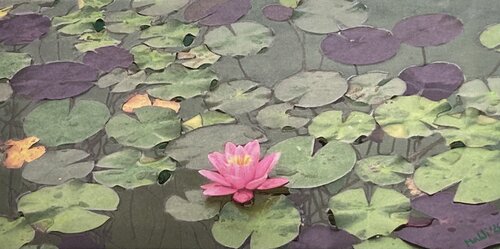 Seerose van Marta Widowitz, Schilderij te koop op Singulart