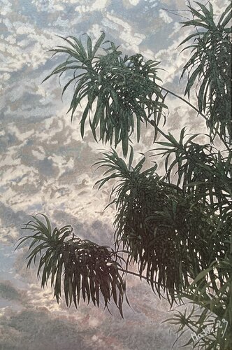 Himmel unter Palmen di Marta Widowitz, Pittura in vendita su Singulart