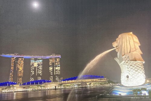 Der Löwe, Singapur van Marta Widowitz, Schilderij te koop op Singulart