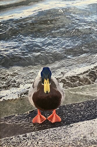 Die Donauente van Marta Widowitz, Schilderij te koop op Singulart