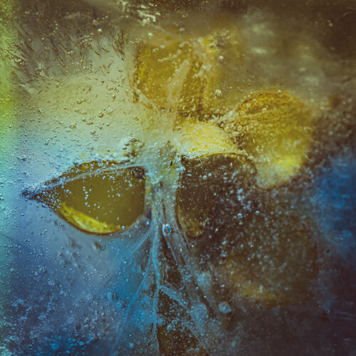 Hellebore Seed Head in Ice Cube Abstract de Marius Grose, Fotografía a la venta en Singulart