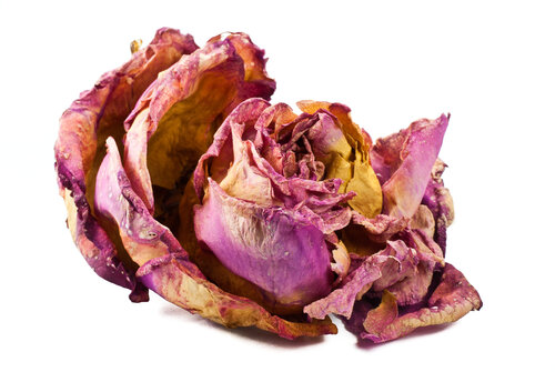 Decayed Rose Marius Grose