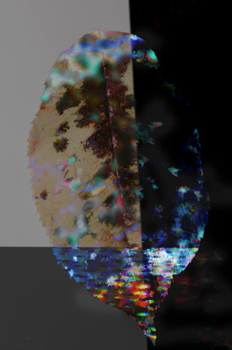 Leaf Abstract de Marius Grose, Fotografía a la venta en Singulart