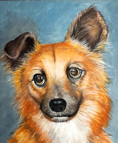 Goldie-dog portrait van Denis Mihai, Schilderij te koop op Singulart