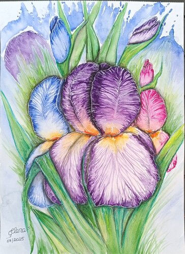 Splattered Irises von Elena Ginsburg, Malerei kaufen auf Singulart