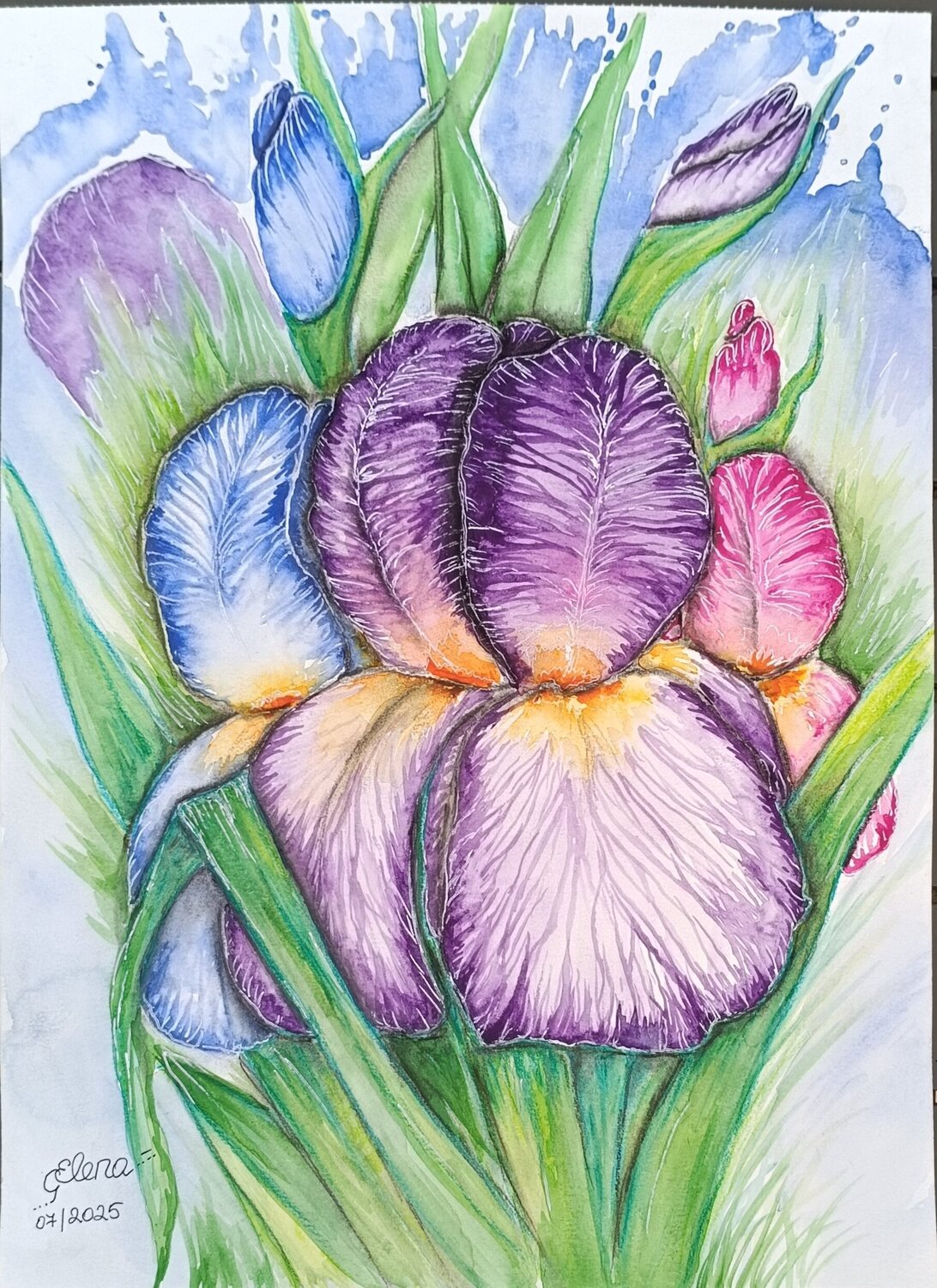 Splattered Irises Elena Ginsburg