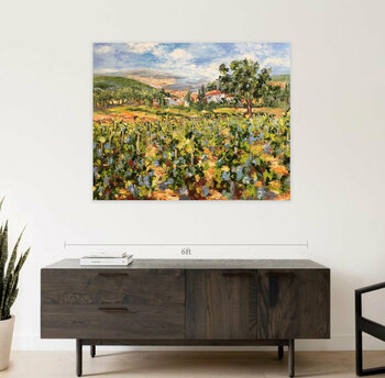 Vignes sous le soleil Diana Malivani
