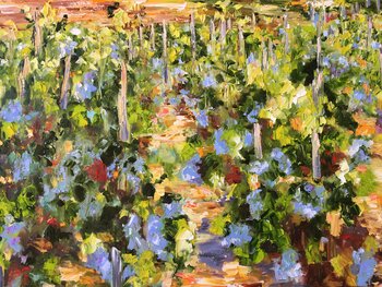 Vignes sous le soleil Diana Malivani