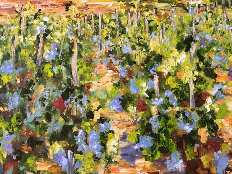 Vignes sous le soleil Diana Malivani