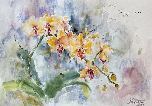 Yellow Orchids by Diana Malivani, Drawing for Sale on Singulart