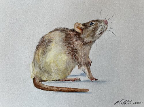 Mon cher petit Monsieur... van Diana Malivani, Tekening te koop op Singulart