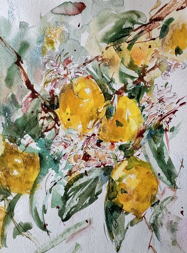 Blooming Lemons by Diana Malivani, Drawing for Sale on Singulart