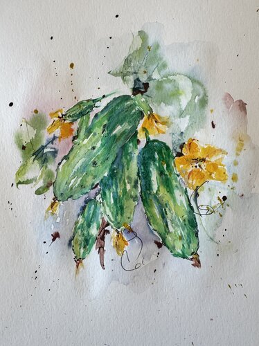 Cetrioli by Diana Malivani, Drawing for Sale on Singulart