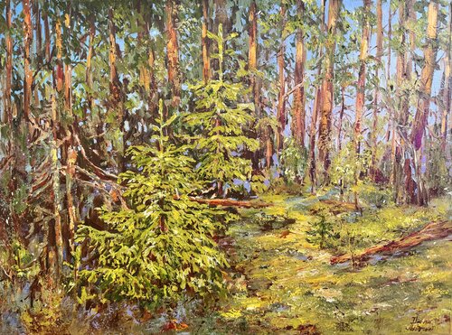 Young Fir Trees by Diana Malivani, 회화 for Sale on Singulart