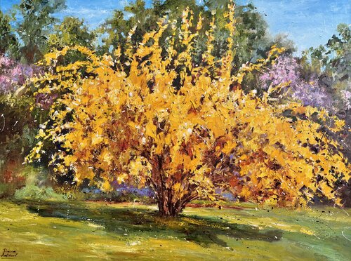 Forsythia van Diana Malivani, Schilderij te koop op Singulart